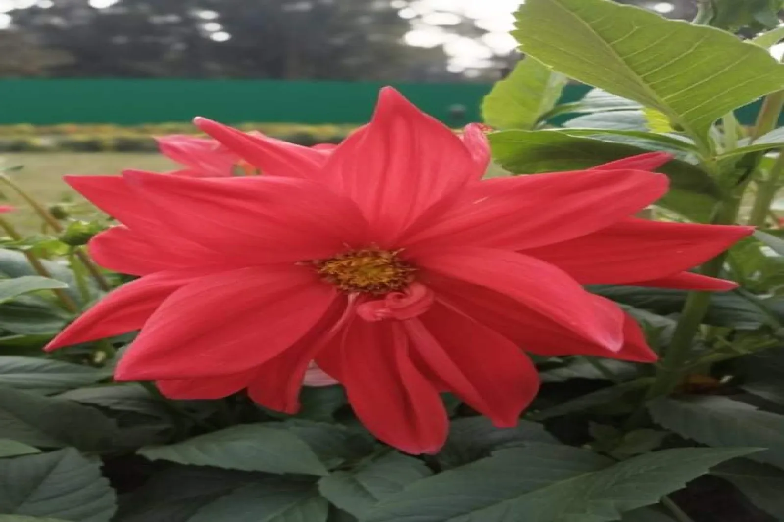 অসহায়দের শহর